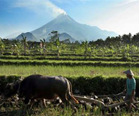 Pathways out of poverty during an economic crisis: An empirical assessment of rural Indonesia