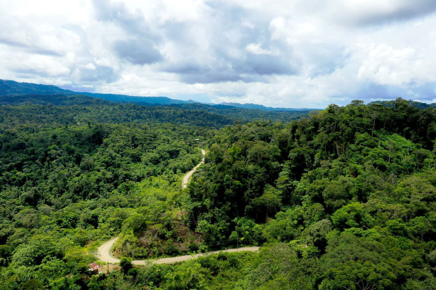 A dirt road running through the Amazon of Ecuador