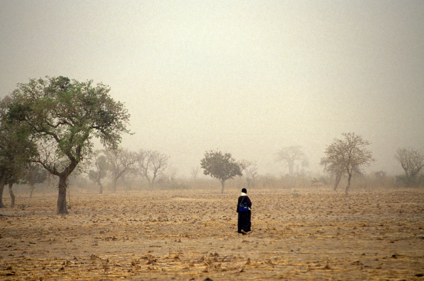A person walks through dried up fields in Mali. Photo by Curt Carnemark / World Bank Flickr