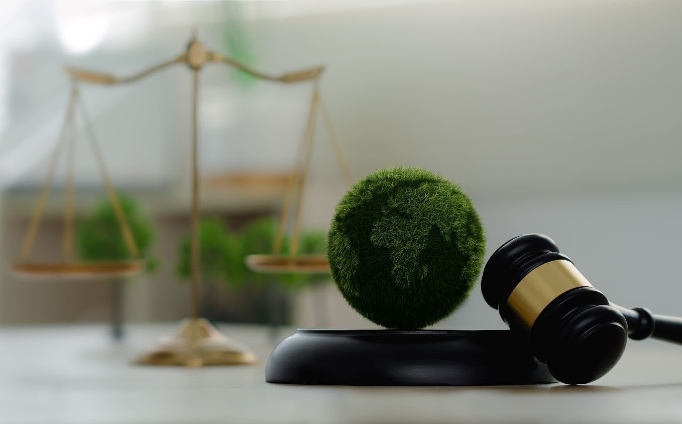 Law international environmental concept