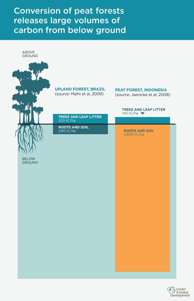 graph of carbon emissions from conversion of peat forests