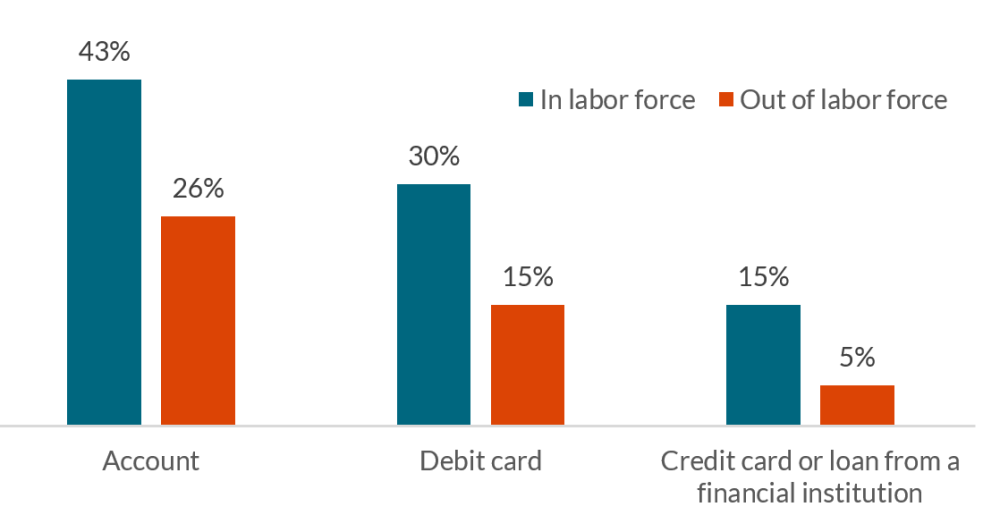 Chart showing percentage of adults with accounts, debit cards, and credit cards or loans from a financial institution.