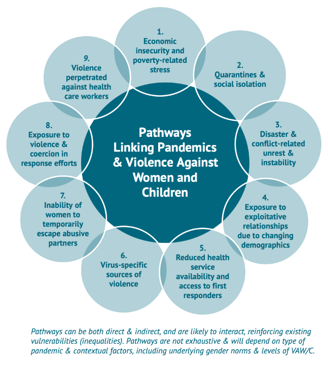 A figure showing pathways linking pandemics and violence against women and children