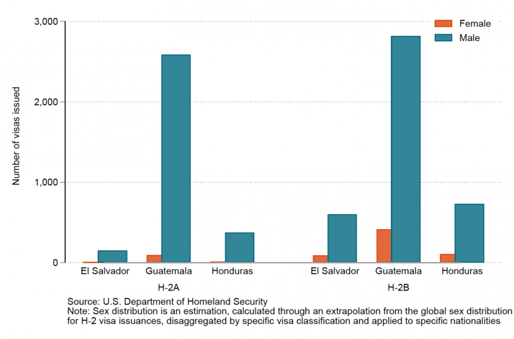 A bar chart showing that H-2 visas issued to people from the Northern Triangle primarily go to men